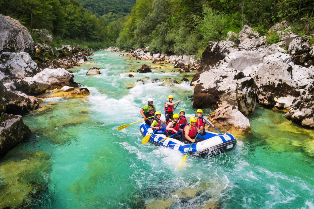 Botavec Everything Bovec